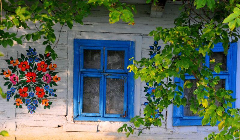 Ściana chałupy, bielona i malowana w kwiaty, niebieskie okna, widoczne zza gałęzi krzaków z zielonymi liśćmi.