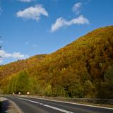 Bild: Naturschutzgebiet Kłodne nad Dunajcem