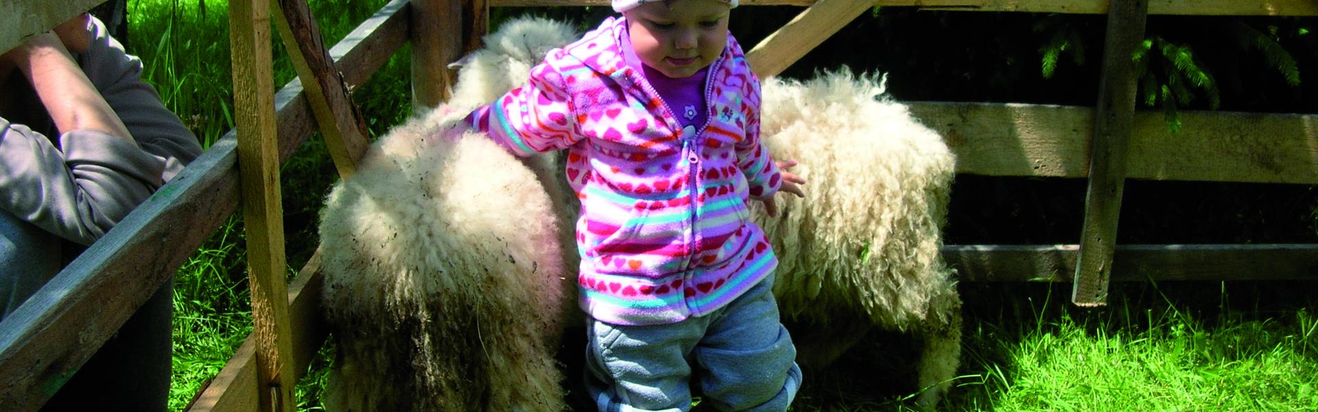 dziecko z małą owieczką