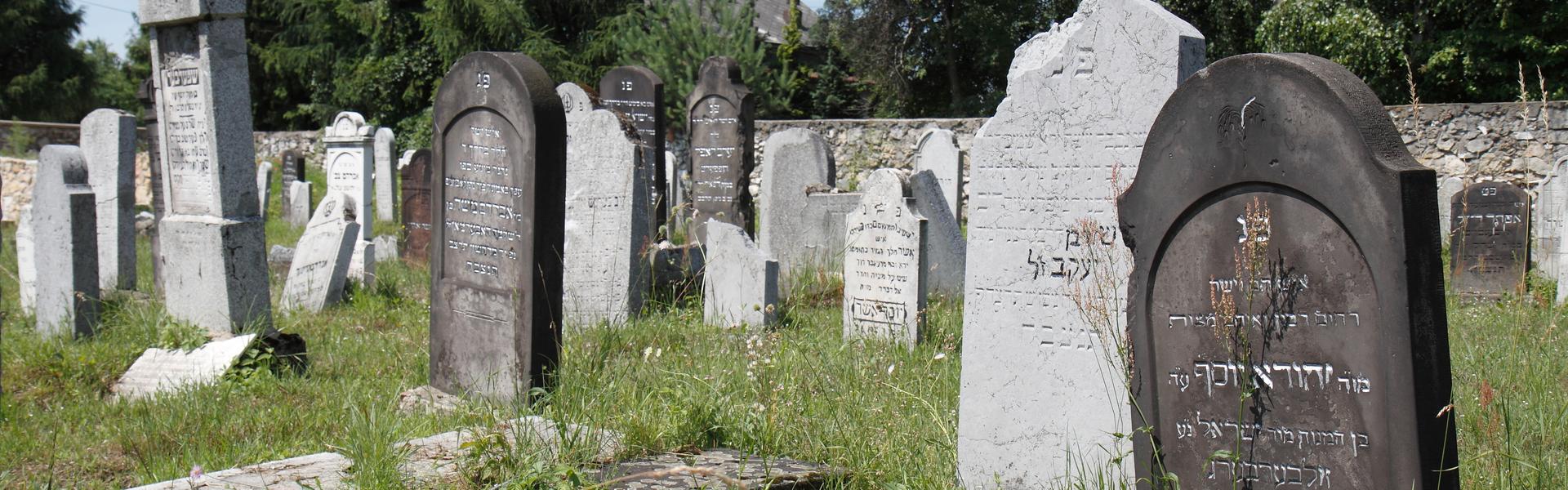 zdjęcie macew na cmentarzu żydowskim w Trzebini