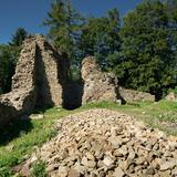 Ruiny zamku, fragmenty ścian murów z kamienia i gruzowisko. W tle korony drzew i błękitne niebo.