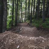 Leśne ścieżki dla rowerów górskich w budowie