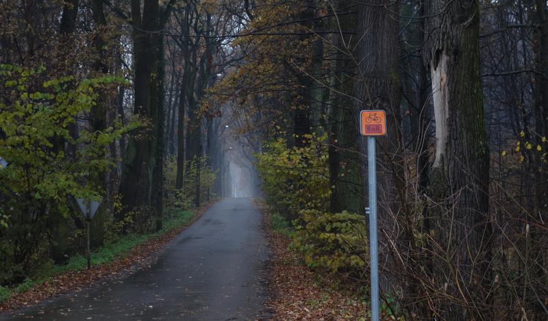 fragment asfaltowej ścieżki rowerowej w Brzeszczach