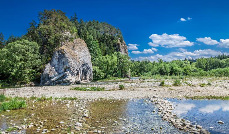 Rzeka, skałki i drzewa w Rezerwacie przyrody Przełom Białki pod Krempachami