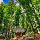 Formacja skalna w kształcie grzyba, w tyle las i błękit nieba.