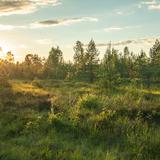 Image: Peatland Promotion and Protection Centre in Chochołów