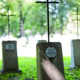 Obrázok: Vojenský cintorín č. 200 v Tarnove